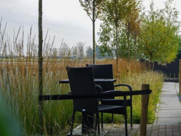 Vakantiewoning De Schelp Ellemeet Zewnętrze zdjęcie