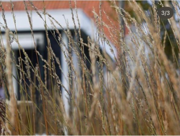 Vakantiewoning De Schelp Ellemeet Zewnętrze zdjęcie