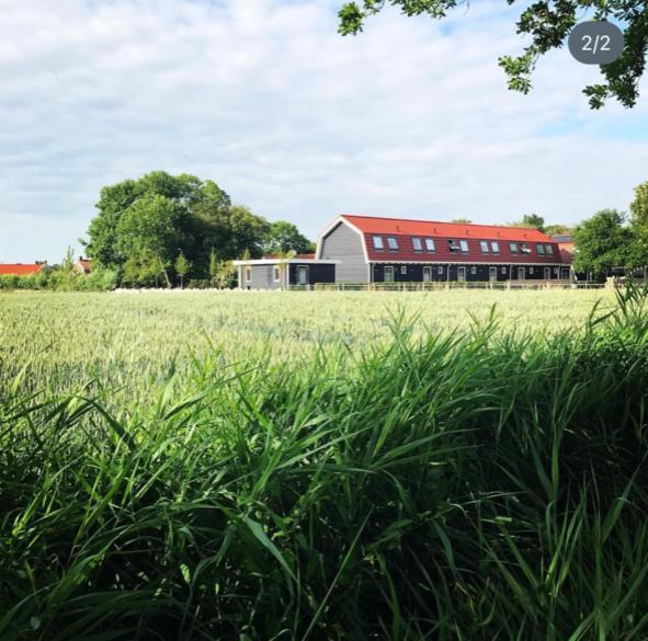 Vakantiewoning De Schelp Ellemeet Zewnętrze zdjęcie
